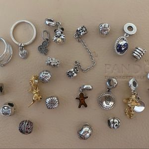 Rare, Retired, & BRAND NEW Pandora